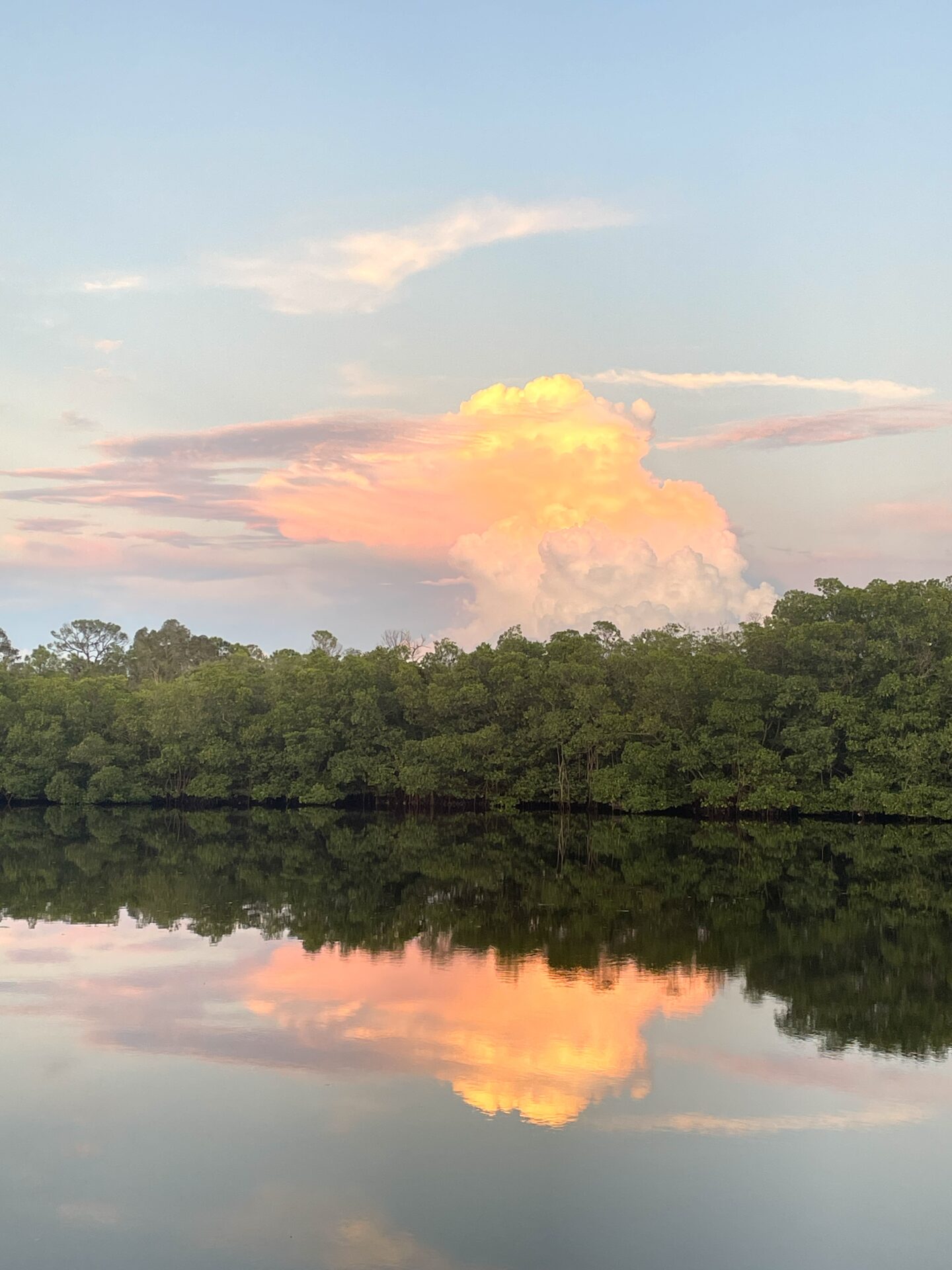 Sunrise Cloud Reflection A pink cloud floats above the mangroves that rest still on the shore of the canal. A reflection of the pink cloud reflects on the still water.